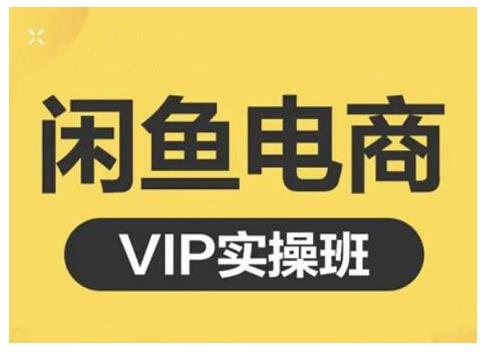 闲鱼电商零基础入门到进阶VIP实战课程，帮助你掌握闲鱼电商所需的各项技能-领航创业网