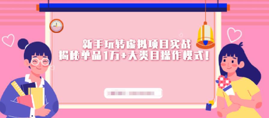 新手玩转虚拟项目实战，揭秘单品1万 大类目操作模式【视频课程】-领航创业网