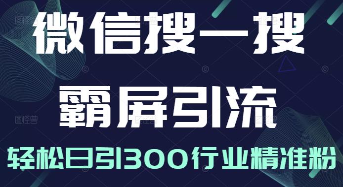 微信搜一搜霸屏引流课，打造被动精准引流系统，轻松日引300行业精准粉【无水印】-领航创业网