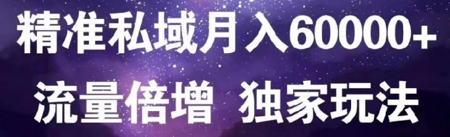原力网赚精准私域月入60000 ,流量倍增独家玩法-领航创业网