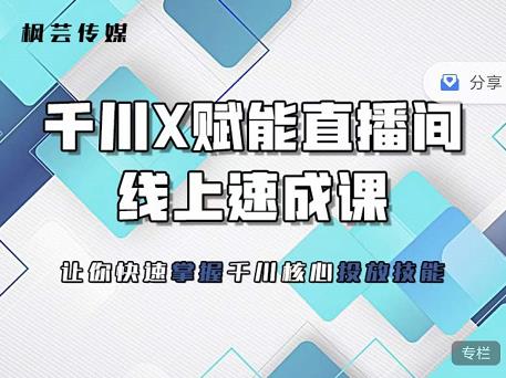 枫芸传媒-线上千川提升课，提升千川认知，提升千川投放效果-领航创业网