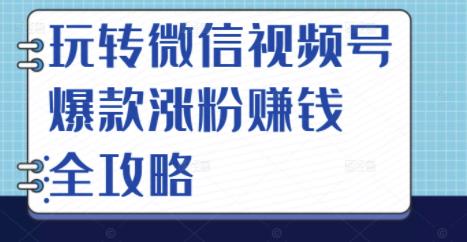玩转微信视频号爆款涨粉赚钱全攻略，让你快速抓住流量风口，收获红利财富-领航创业网
