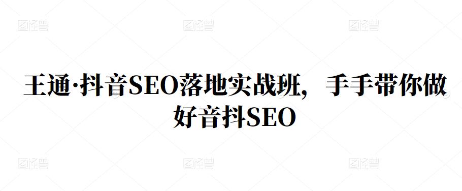 王通·抖音SEO落地实战班，手‬手带你做好音抖‬‬SEO-领航创业网