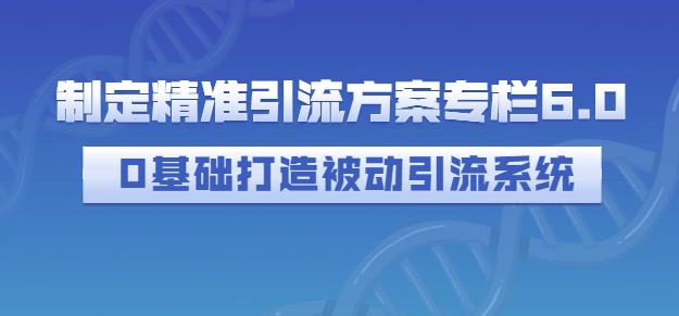 制定精准引流方案专栏6.0，0基础打造被动引流系统-领航创业网