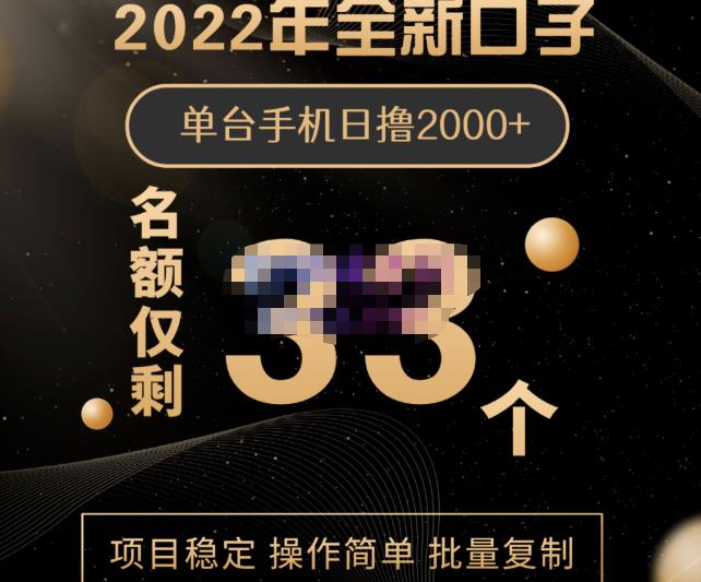 2022年全新口子，手机批量搬砖玩法，一部手机日撸2000-领航创业网