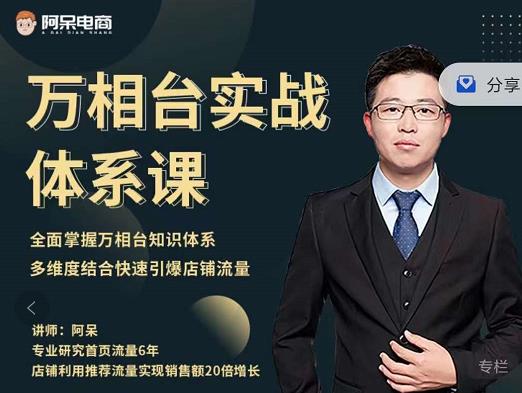 阿呆-万相台实战体系课，帮您全面掌握万相台知识体系-领航创业网
