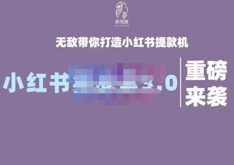 谢无敌·小红书实战营3.0，无敌带你打造小红书提款机 价值7999元-领航创业网