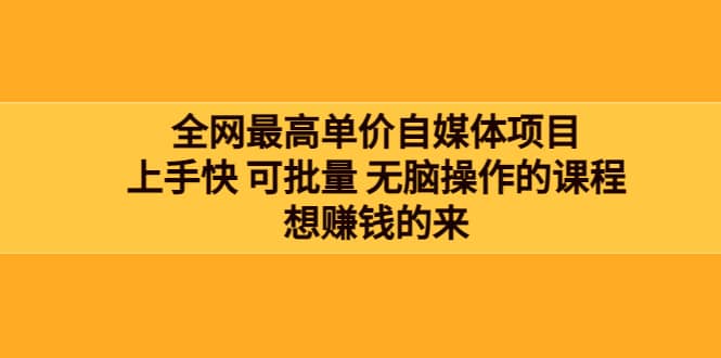 全网最单高价自媒体项目：上手快 可批量 无脑操作的课程，想赚钱的来-领航创业网
