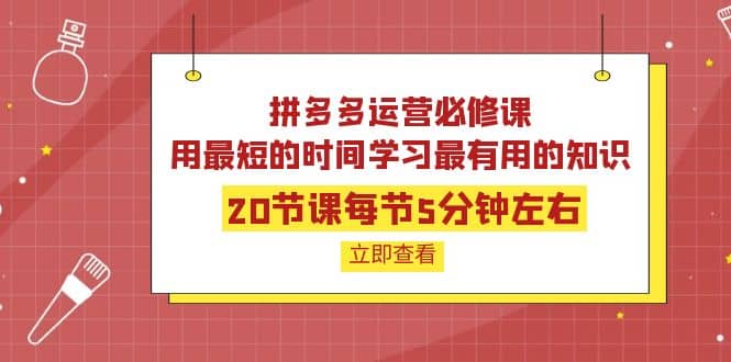 拼多多运营必修课：20节课每节5分钟左右，用最短的时间学习最有用的知识-领航创业网
