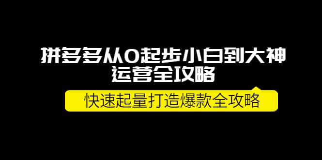 拼多多从0起步小白到大神运营全攻略-领航创业网