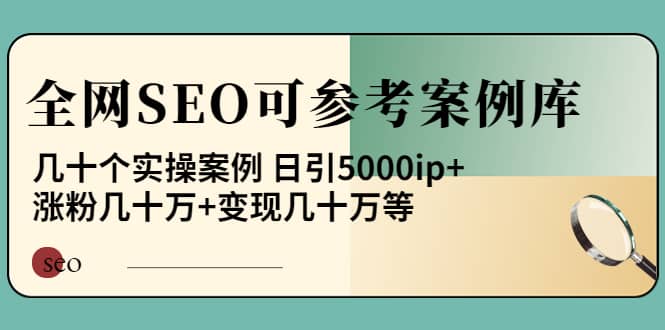 《全网SEO可参考案例库》几十个实操案例-领航创业网