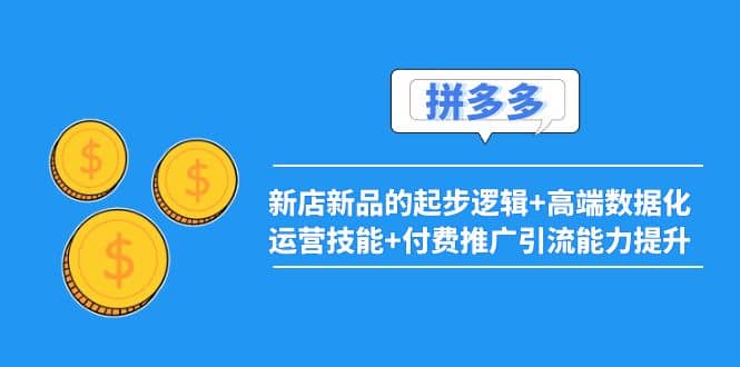 2022拼多多：新店新品的起步逻辑 高端数据化运营技能 付费推广引流能力提升-领航创业网