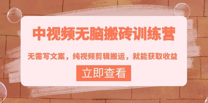 中视频无脑搬砖训练营：无需写文案，纯视频剪辑搬运，就能获取收益-领航创业网
