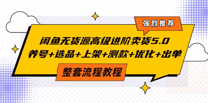 闲鱼无货源高级进阶卖货5.0，养号 选品 上架 测款 优化 出单整套流程教程-领航创业网