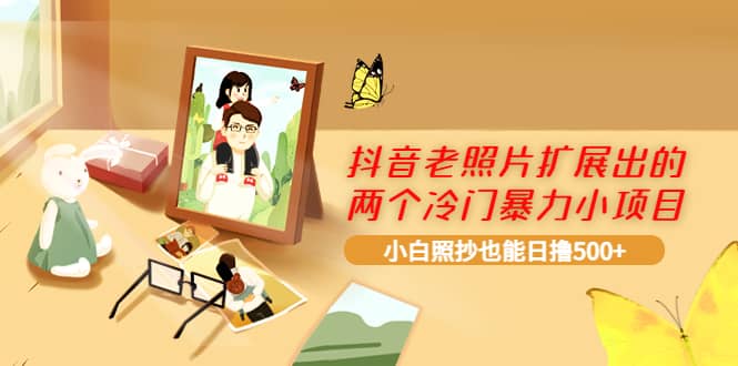 抖音老照片扩展出的两个冷门暴力小项目，小白照抄也能日撸500-领航创业网