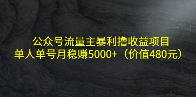 公众号流量主暴利撸收益项目，单人单号月稳赚5000 （价值480元）-领航创业网