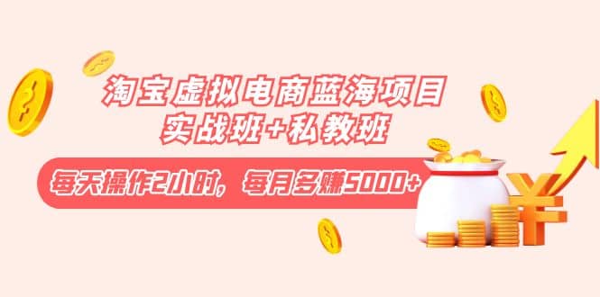 淘宝虚拟电商蓝海项目实战班 私教班-领航创业网