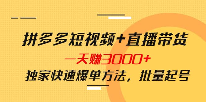 拼多多短视频 直播带货，一天赚3000 独家快速爆单方法，批量起号-领航创业网