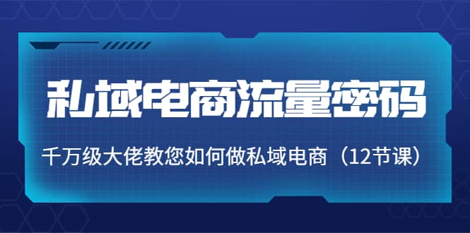 私域电商流量密码：千万级大佬教您如何做私域电商（12节课）-领航创业网