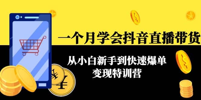 一个月学会抖音直播带货：从小白新手到快速爆单变现特训营(63节课)-领航创业网