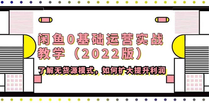 闲鱼0基础运营实战教学（2022版）了解无货源模式，如何扩大提升利润-领航创业网