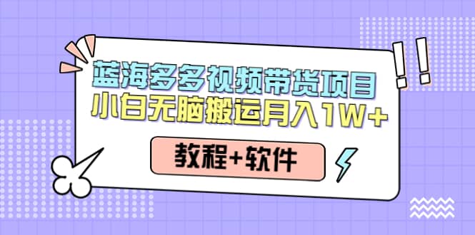 人人都能操作的蓝海多多视频带货项目 小白无脑搬运（教程 软件）-领航创业网