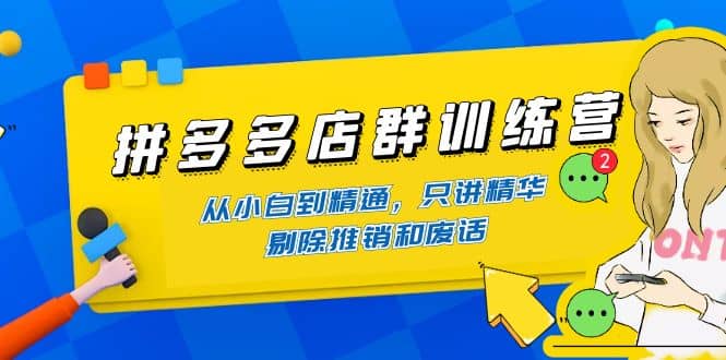拼多多店群训练营：从小白到精通，只讲精华，剔除推销和废话-领航创业网