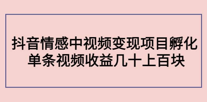抖音情感中视频变现项目孵化-领航创业网