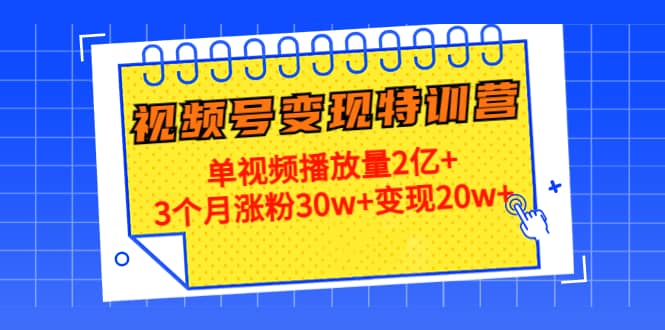 20天视频号变现特训营：单视频播放量2亿-领航创业网