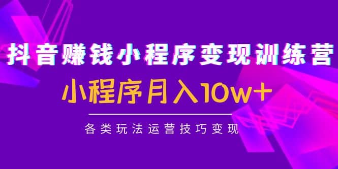 抖音小程序变现训练营：小程序各类玩法运营技巧变现-领航创业网
