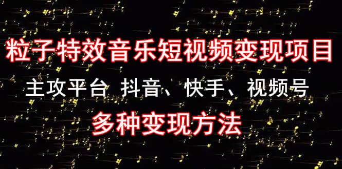 《粒子特效音乐短视频变现项目》主攻平台 抖音、快手、视频号 多种变现方法-领航创业网