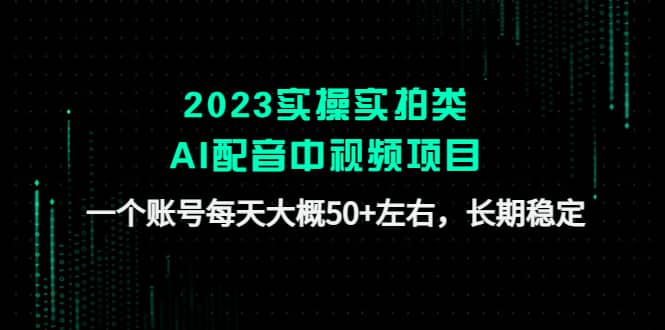 2023实操实拍类AI配音中视频项目，一个账号每天大概50 左右，长期稳定-领航创业网
