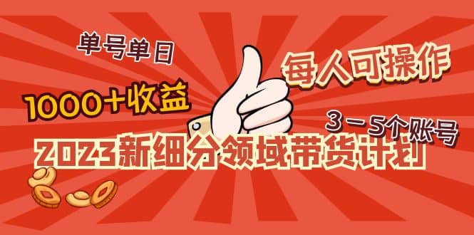 2023新细分领域带货计划：单号单日1000 收益不难，每人可操作3-5个账号-领航创业网