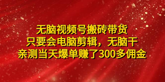 无脑视频号搬砖带货，只要会电脑剪辑，无脑干-领航创业网