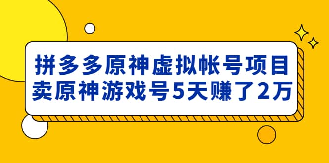 外面卖2980的拼多多原神虚拟帐号项目-领航创业网