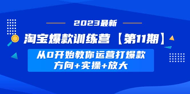 淘宝爆款训练营【第11期】 从0开始教你运营打爆款，方向 实操 放大-领航创业网