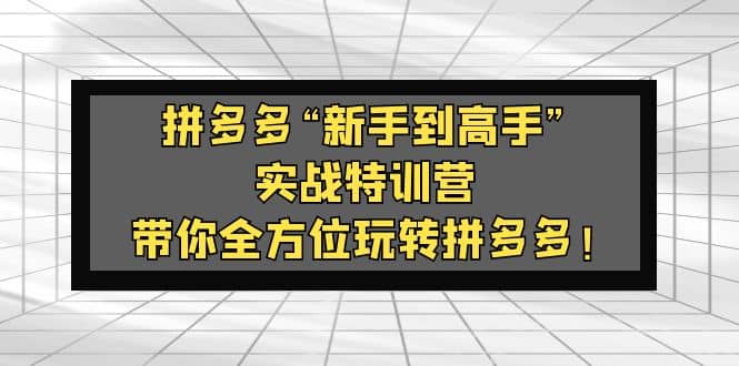 拼多多“新手到高手”实战特训营：带你全方位玩转拼多多-领航创业网