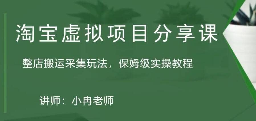淘宝虚拟整店搬运采集玩法分享课：整店搬运采集玩法，保姆级实操教程-领航创业网