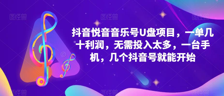 抖音音乐号U盘项目 一单几十利润 无需投入太多 一台手机 几个抖音号就开始-领航创业网