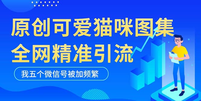 黑科技纯原创可爱猫咪图片，全网精准引流，实操5个VX号被加频繁-领航创业网