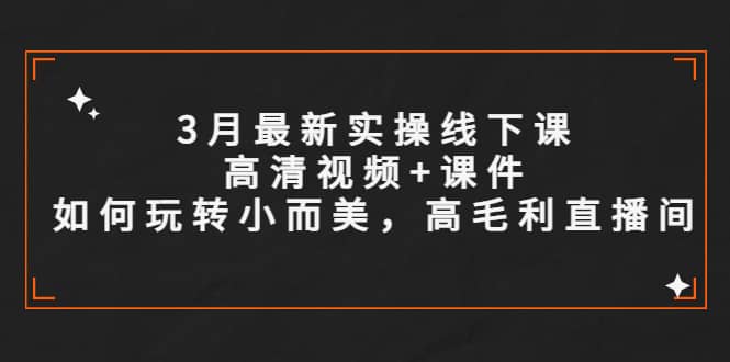 3月最新实操线下课高清视频 课件，如何玩转小而美，高毛利直播间-领航创业网