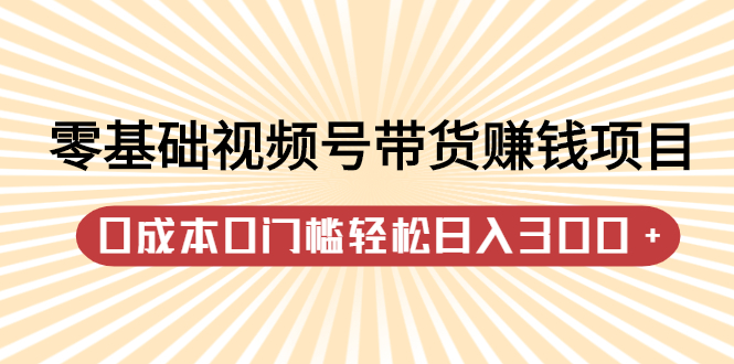 零基础视频号带货赚钱项目，0成本0门槛轻松日入300 【视频教程】-领航创业网