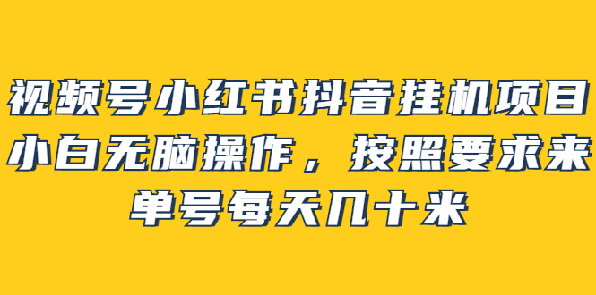 视频号小红书抖音挂机项目，小白无脑操作，按照要求来，单号每天几十米-领航创业网