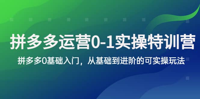 拼多多-运营0-1实操训练营，拼多多0基础入门，从基础到进阶的可实操玩法-领航创业网