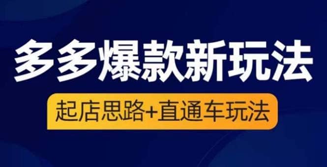 2023拼多多爆款·新玩法：起店思路 直通车玩法（3节精华课）-领航创业网
