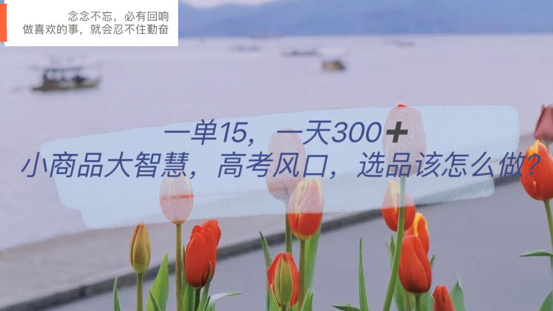 一单15，一天300 ，小商品大智慧，高考风口，选品该怎么布局-领航创业网