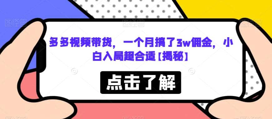 多多视频带货，一个月搞了3w佣金，小白入局超合适【揭秘】-领航创业网