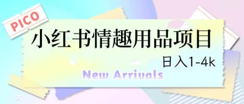 最新小红书情趣用品项目，日入1-4k-领航创业网