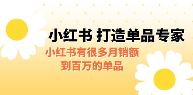 某公众号付费文章《小红书 打造单品专家》小红书有很多月销额到百万的单品-领航创业网