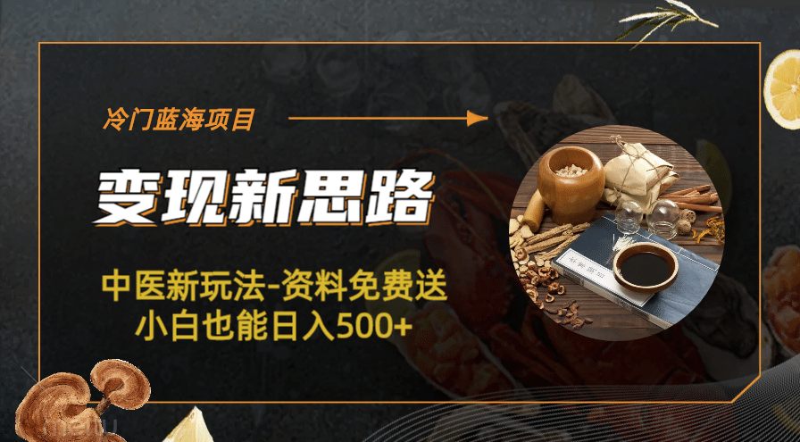 冷门蓝海项目-中医新玩法-冷门蓝海项目-中医新玩法-资料免费送小白也能日入500 500-领航创业网